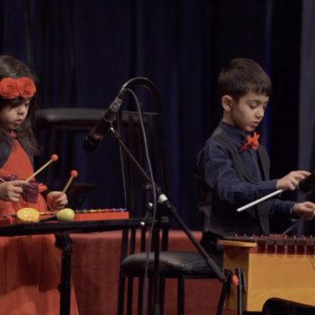 ویدیو هنرجویان آموزشگاه موسیقی ٬ بهترین آموزشگاه موسیقی ٬ آموزشگاه موسیقی شمال تهران